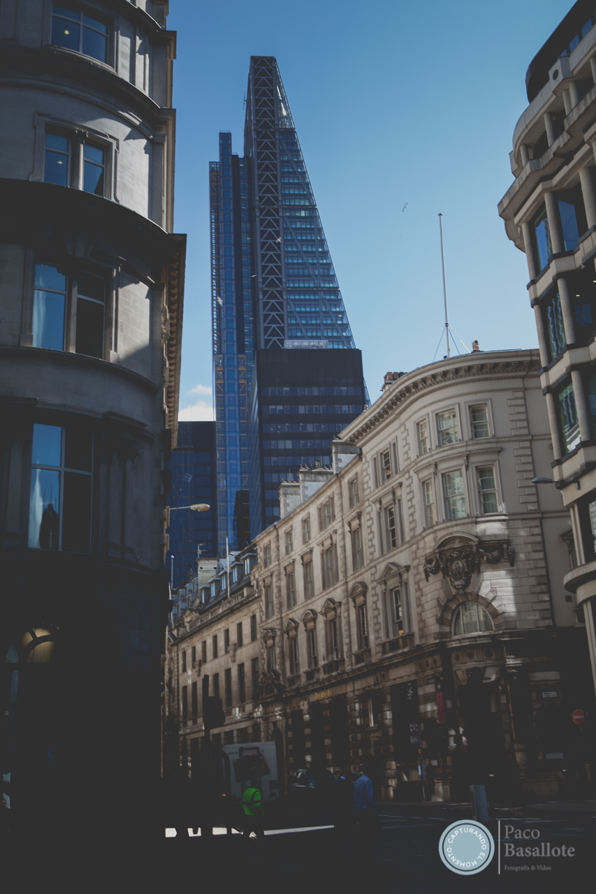 _MG_9533