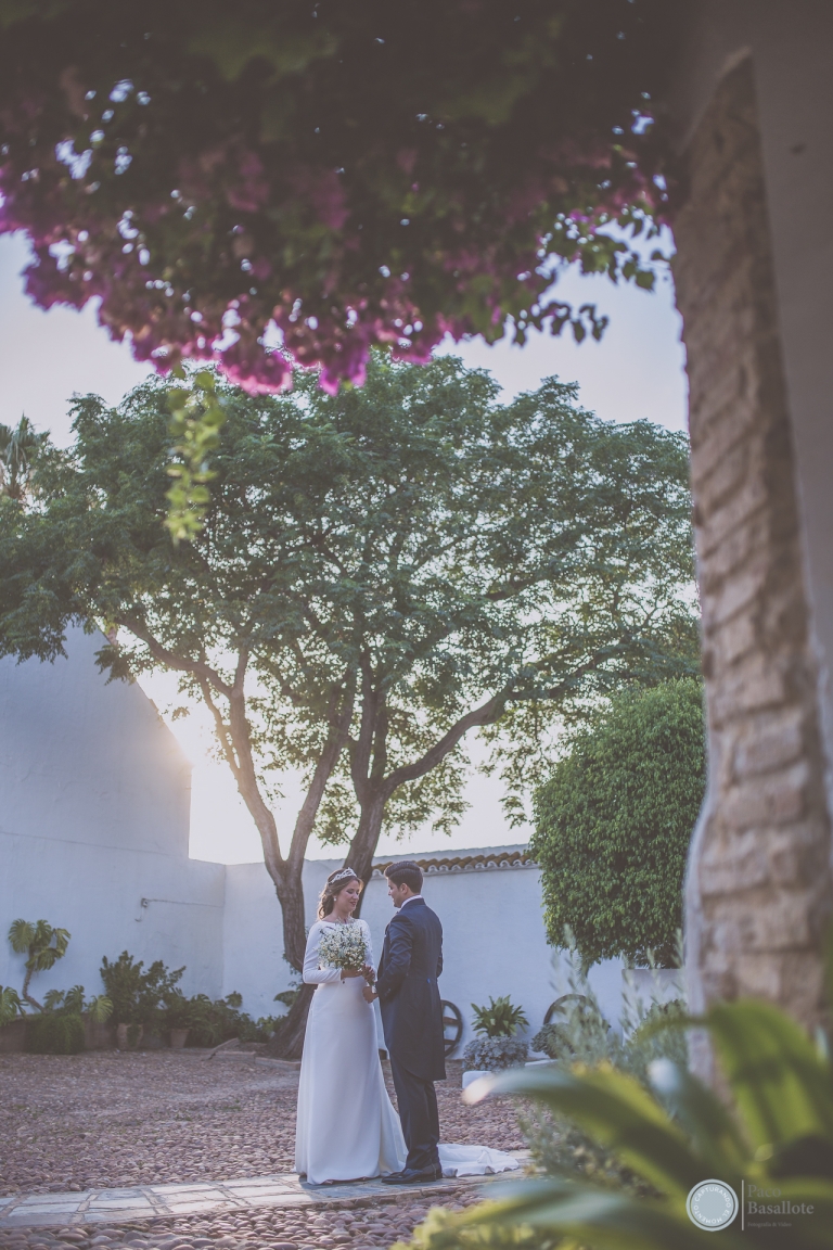 Momento inolvidable de boda